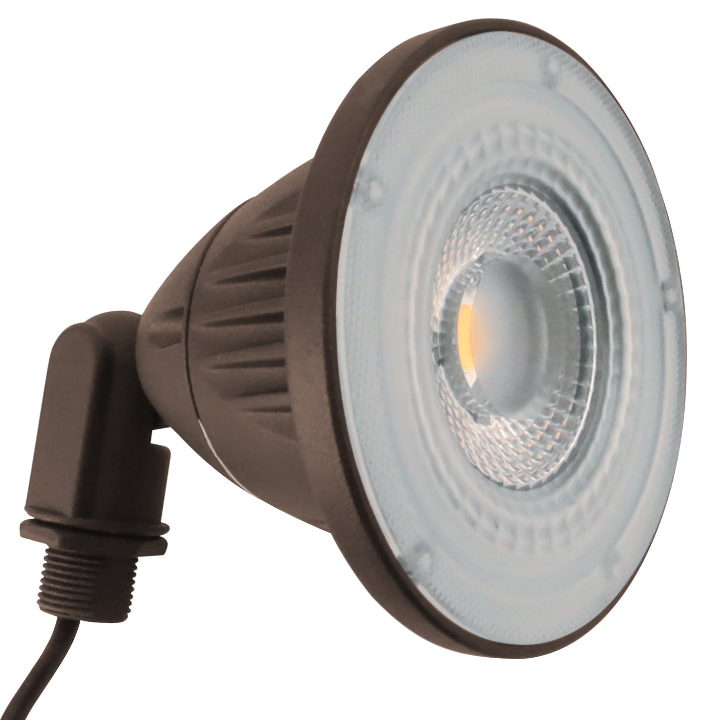 LED Landscape/Security Light