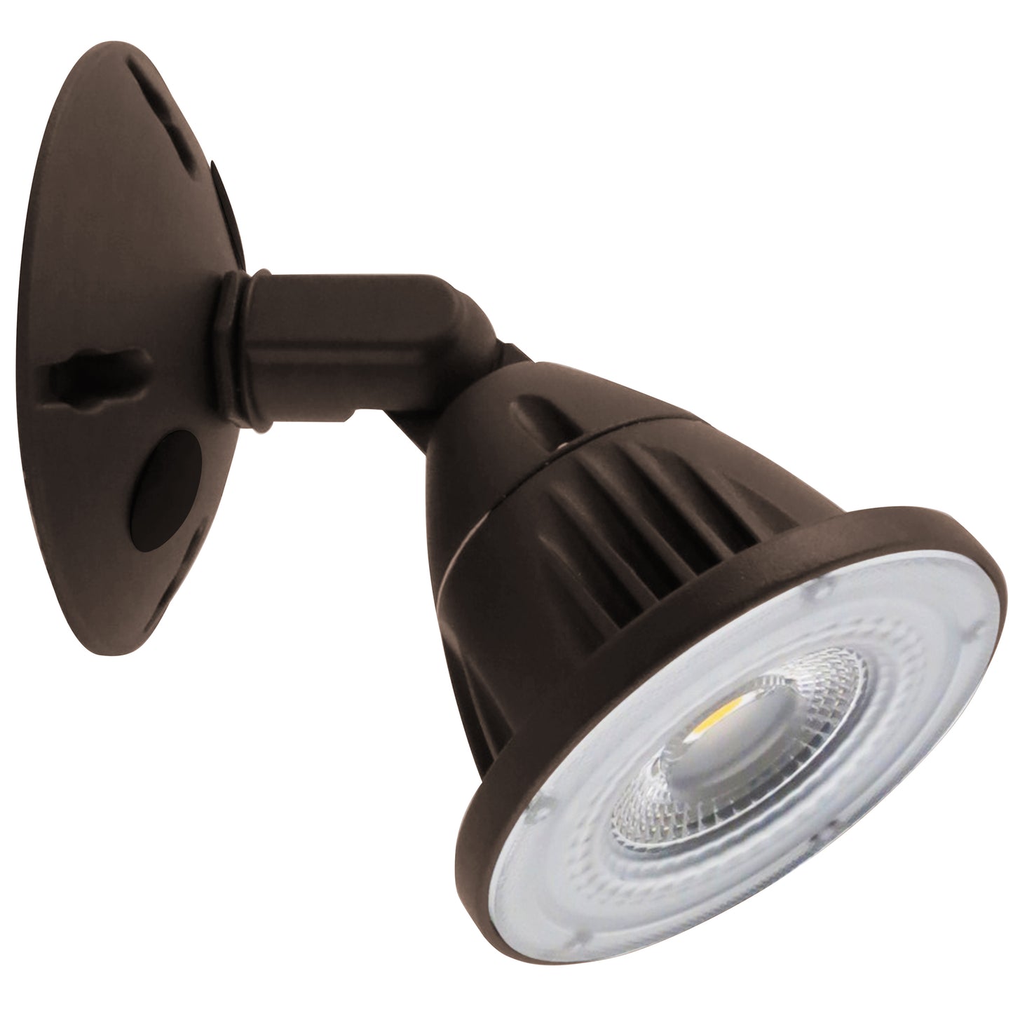 LED Landscape/Security Light