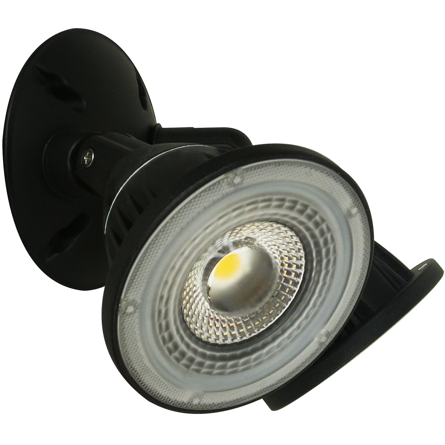 LED Landscape/Security Light