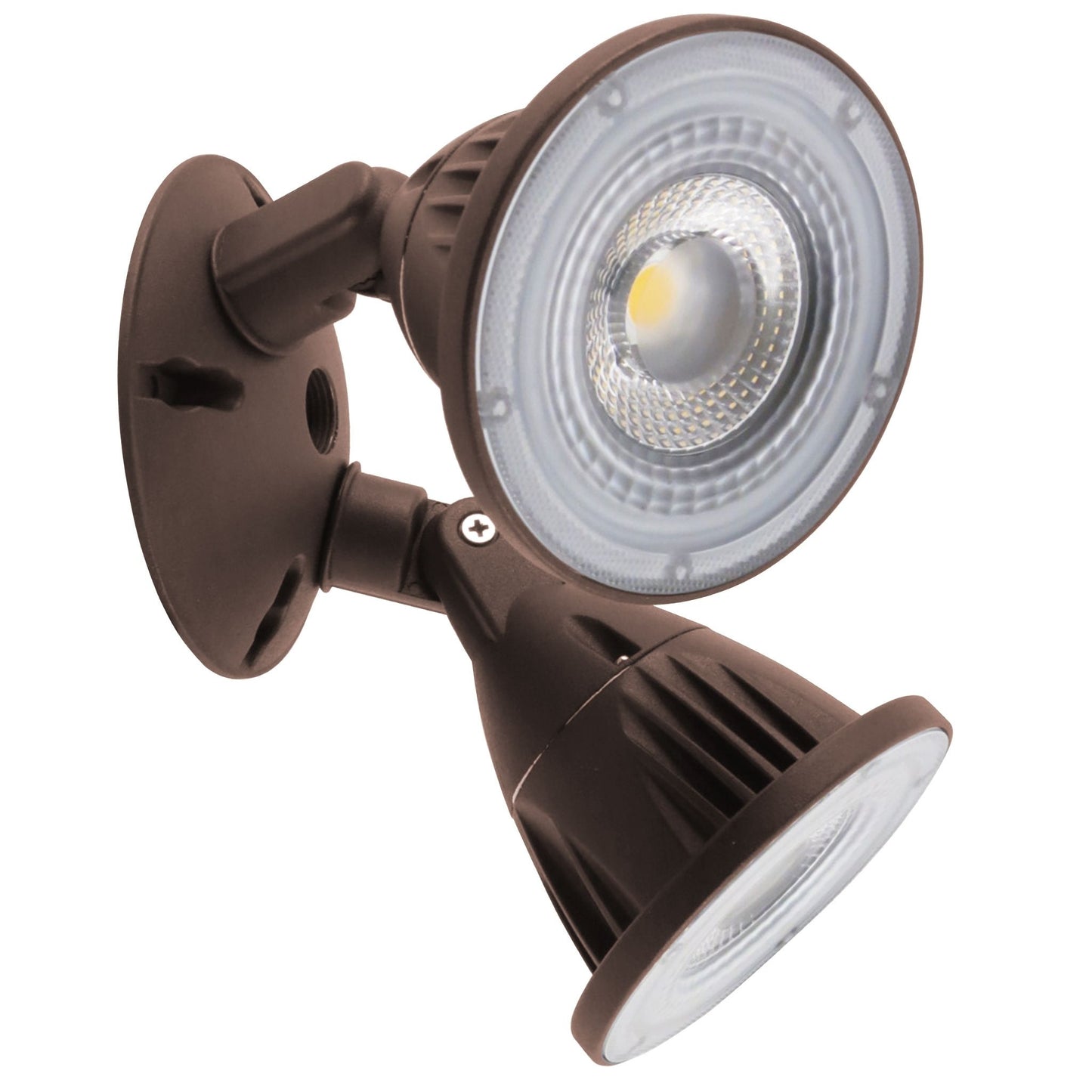 LED Landscape/Security Light