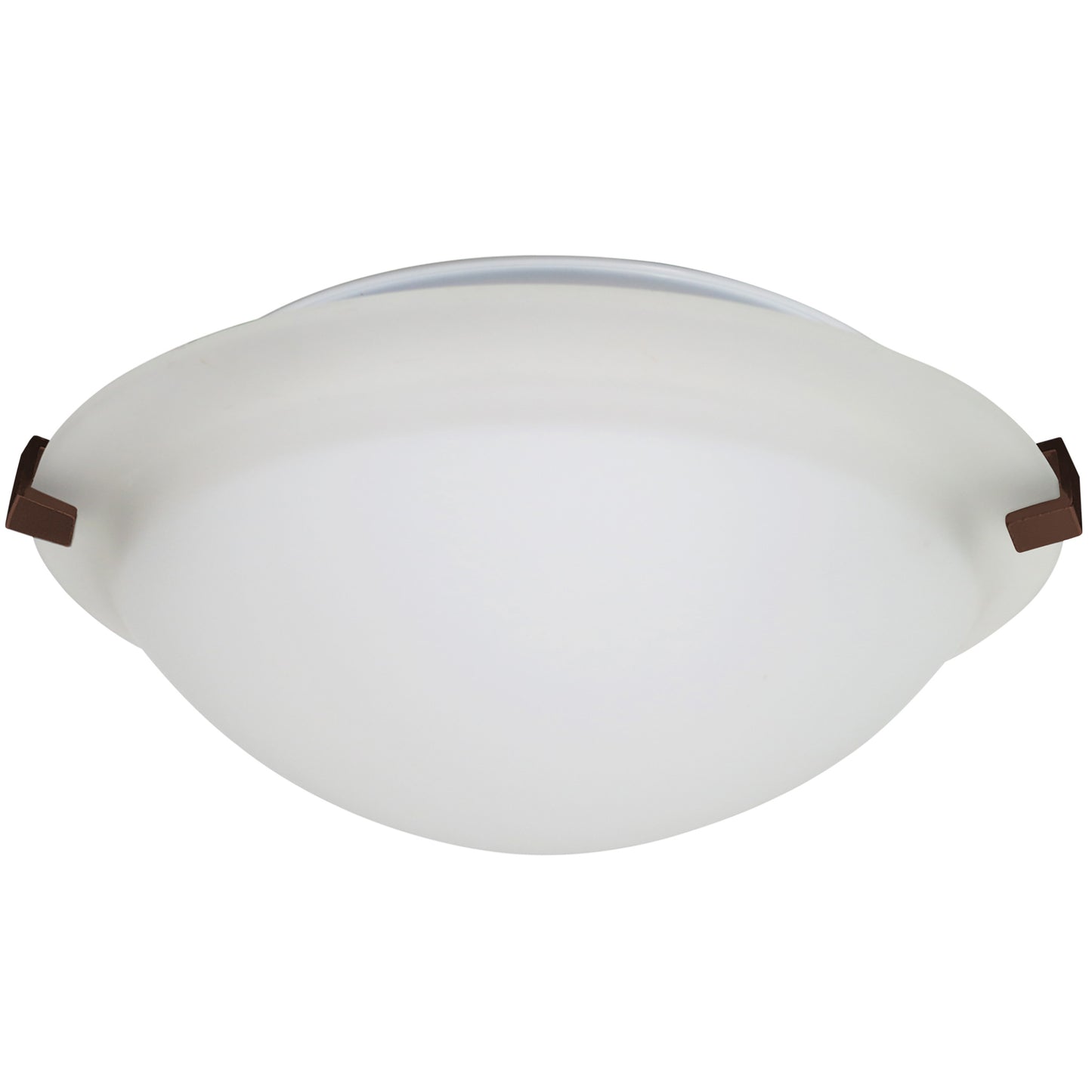Contemporary Frosted Dome