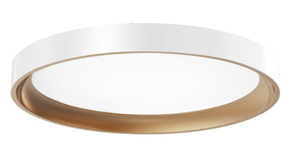 Architectural Low-Profile LED Disks