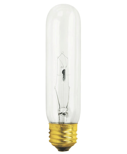 Antique-Style Edison Incandescent Bulbs