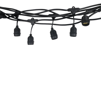 Festoon Light