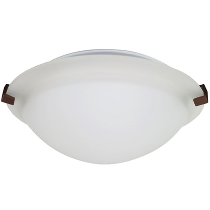 Contemporary Frosted Dome