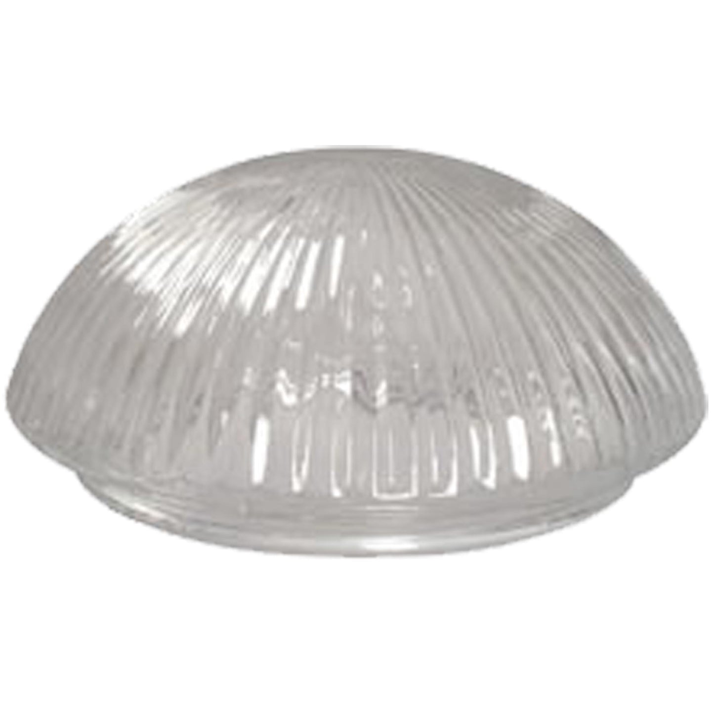 Clear, Ribbed Mushroom