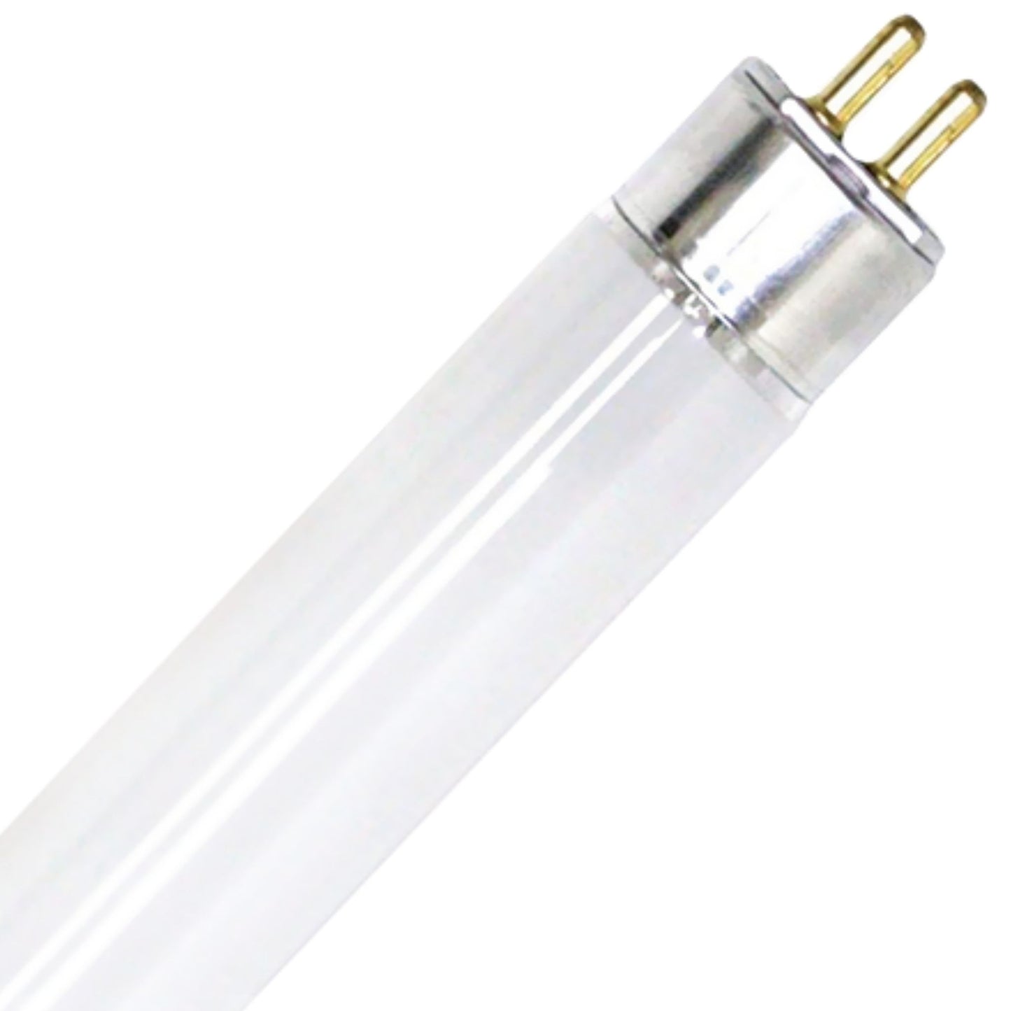 T5 Lamp